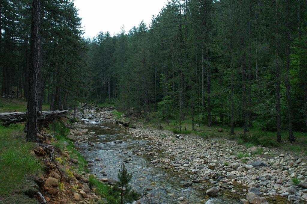 Kerasies Guesthouse Vovúsza Kültér fotó